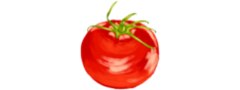 Antonio's Cucina Italiana